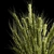  Green Wheat Spikelet Vase 3D model small image 4