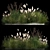 Assorted Ornamental Grass Collection 3D model small image 1