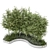 Garden Set Bush Tree 3D 3D model small image 2