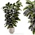 Modern Indoor Plants in Concrete 3D model small image 1