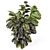 Modern Indoor Plants in Concrete 3D model small image 2