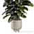 Modern Indoor Plants in Concrete 3D model small image 5