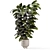 Modern Indoor Plants in Concrete 3D model small image 6