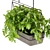 Premium Pothos Hanging Plant 3D model small image 5