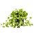 Quality Hanging Pothos Plant Décor 3D model small image 4