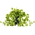 Quality Hanging Pothos Plant Décor 3D model small image 5