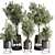 269 Plant Tree Vase Concrete 3D model small image 1