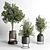 269 Plant Tree Vase Concrete 3D model small image 2