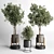 269 Plant Tree Vase Concrete 3D model small image 3