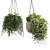 Modern Indoor Hanging Plant with Flower Pots 3D model small image 1