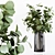 Modern Indoor Plant Collection 029 3D model small image 2