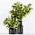 Modern Indoor Plant Collection 029 3D model small image 5