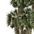 Luxury Outdoor Palm Tree Set 3D model small image 4