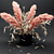 Pampas & Eucalyptus Bouquet 3D model small image 3