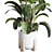 Ficus Plant in Pottery Vase 3D model small image 2