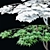 Japanese Maple Tree 3D Model 3D model small image 2