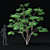 Japanese Maple Tree 3D Model 3D model small image 3