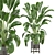 Corona Indoor Plants Collection 472 3D model small image 1