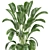 Corona Indoor Plants Collection 472 3D model small image 4