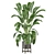 Corona Indoor Plants Collection 472 3D model small image 5
