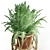 Boho Rattan Plant Stand 3D model small image 2