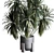 Palm Plant Concrete Vase Décor 3D model small image 2