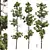 Premium Longleaf Pine 3D Models 3D model small image 1