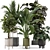 Modern Indoor Plants Set 976 3D model small image 1