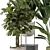 Modern Indoor Plants Set 976 3D model small image 6