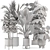 Modern Indoor Plants Set 976 3D model small image 7