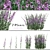 Native Willow Herb Plant Set 3D model small image 1