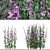 Native Willow Herb Plant Set 3D model small image 2