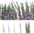 Native Willow Herb Plant Set 3D model small image 5