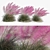 Pink Muhly Grass 3D Model 3D model small image 1