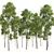 Detailed Fagus Sylvatica Tree Model 3D model small image 2
