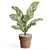 Premium Plant Collection Set 766 3D model small image 2