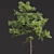 Diverse Tree 3D Models Bundle 3D model small image 2