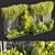 Urban Leaf Ivy Bush Collection 3D model small image 1