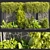Urban Leaf Ivy Bush Collection 3D model small image 2