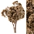 Broadleaf Dried Tree Assortment Set 3D model small image 1