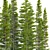 Abies Fir Tree Model Pack 3D model small image 2