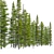 Abies Fir Tree Model Pack 3D model small image 3