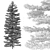 Abies Fir Tree Model Pack 3D model small image 6