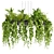 Volume 380 Hanging Pothos Plant 3D model small image 3
