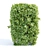 Laurel Hedge Collection Vol. 129 3D model small image 2