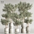 Modern Indoor Plant Set 3D Model 3D model small image 1