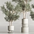 Modern Indoor Plant Set 3D Model 3D model small image 7