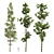 3D Chamaecyparis Pine Models Kit 3D model small image 1