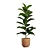 Exotic Indoor Plants Pack 26 3D model small image 5