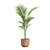 Exotic Indoor Plants Pack 26 3D model small image 6